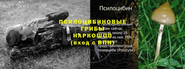 2c-b Аркадак