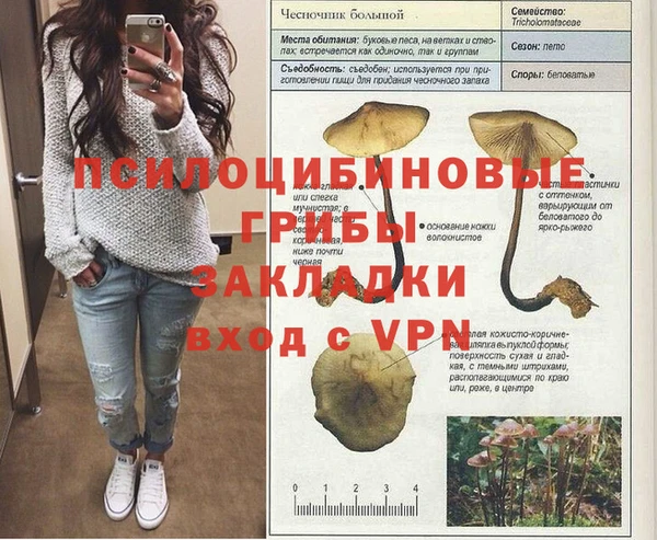 крисы Арсеньев